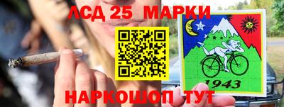 стафф Моздок