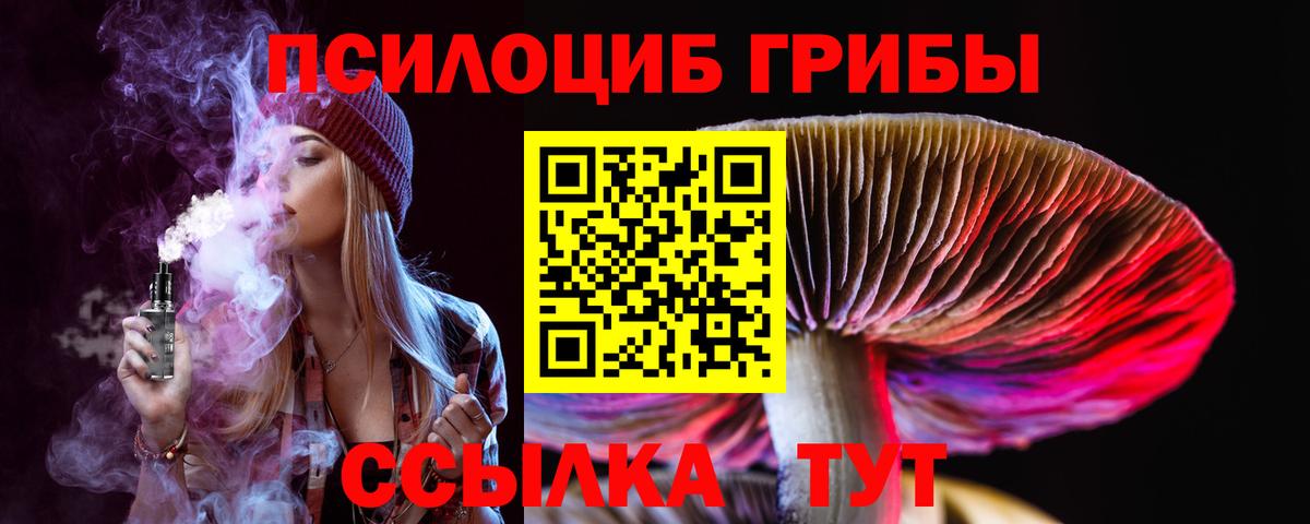 Галлюциногенные грибы GOLDEN TEACHER  Вход с VPN  цены   Торжок 
